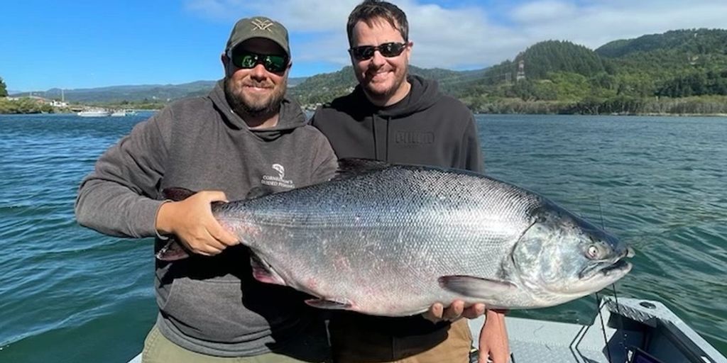 gold beach king salmon fishing